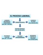 Proceso laboral